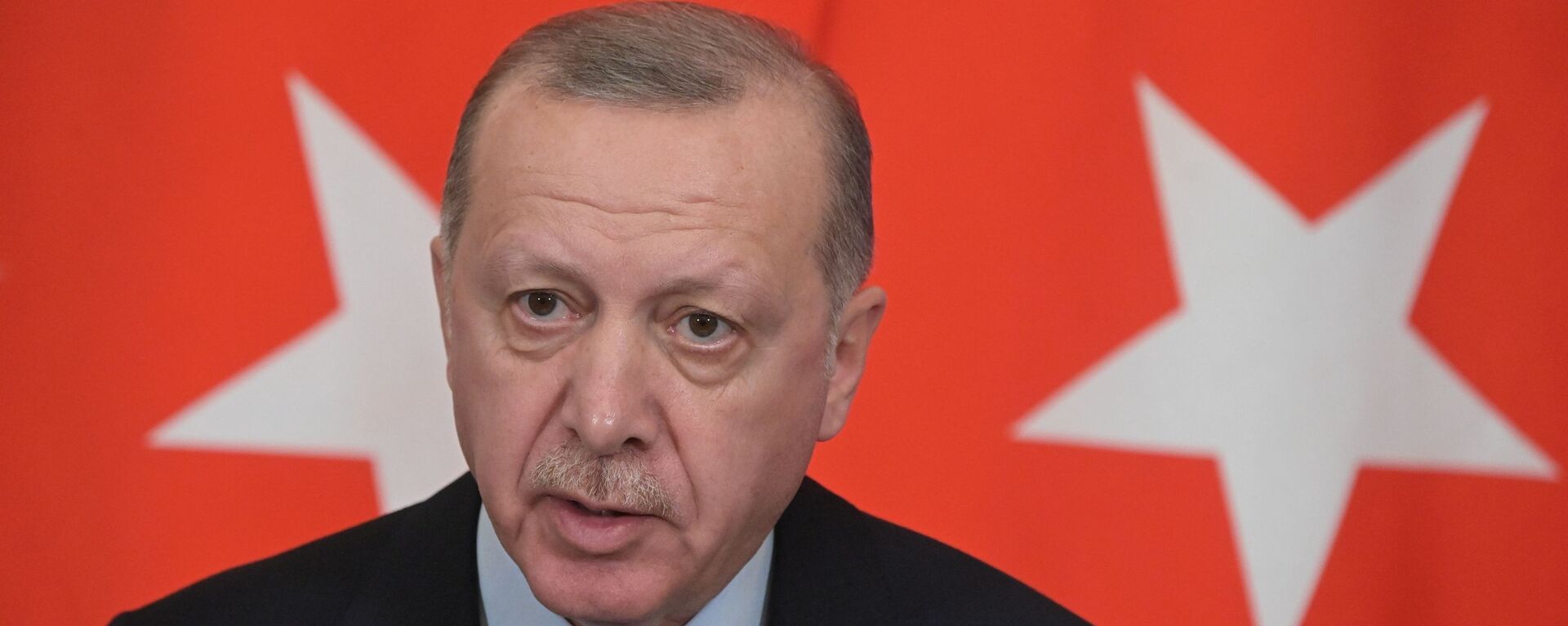 Tổng thống Thổ Nhĩ Kỳ Recep Tayyip Erdogan trong cuộc tiếp cận báo chí chung với Tổng thống Nga Vladimir Putin sau cuộc hội đàm Nga-Thổ Nhĩ Kỳ - Sputnik Việt Nam, 1920, 02.08.2023