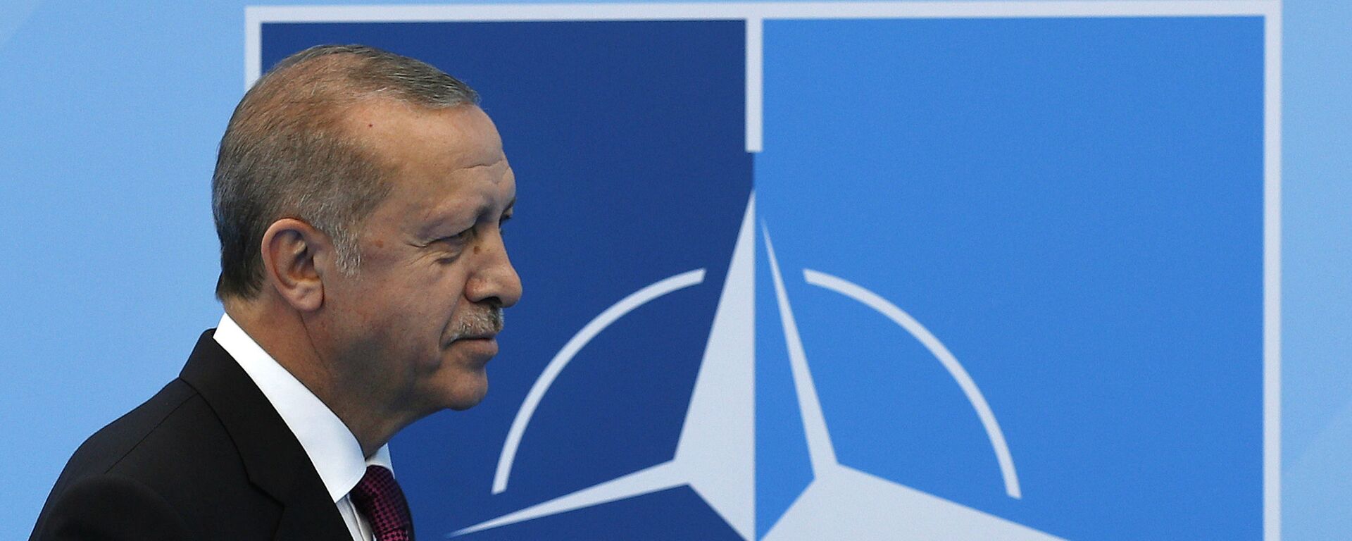 Tổng thống Thổ Nhĩ Kỳ Recep Tayyip Erdogan tại hội nghị thượng đỉnh NATO. - Sputnik Việt Nam, 1920, 01.06.2022