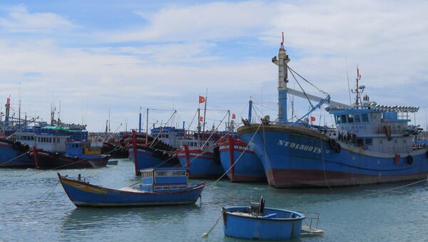 Các tàu cá tại Cảng cá Mỹ Tân, xã Thanh Hải, huyện Ninh Hải đều đã được lắp thiết bị giám sát hành trình. - Sputnik Việt Nam