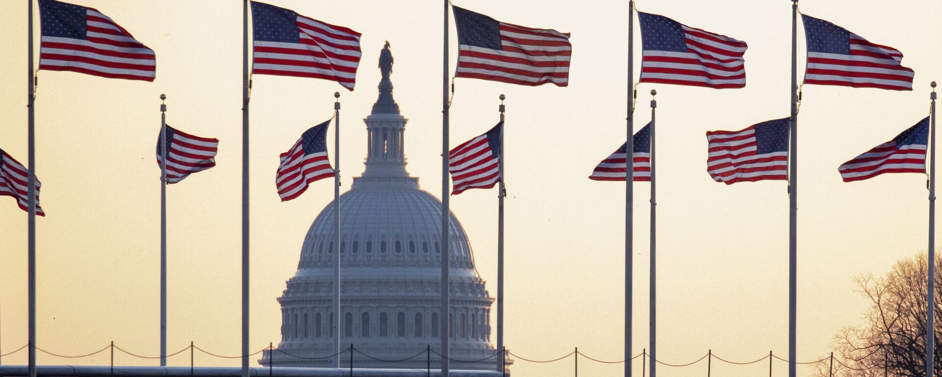 Cờ Mỹ trên nền của Điện Capitol ở Washington, Mỹ - Sputnik Việt Nam, 1920, 29.02.2024