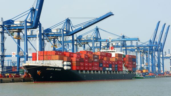Hàng xuất khẩu Việt Nam nghi bị rút ruột, Tân Cảng Sài Gòn nói gì?