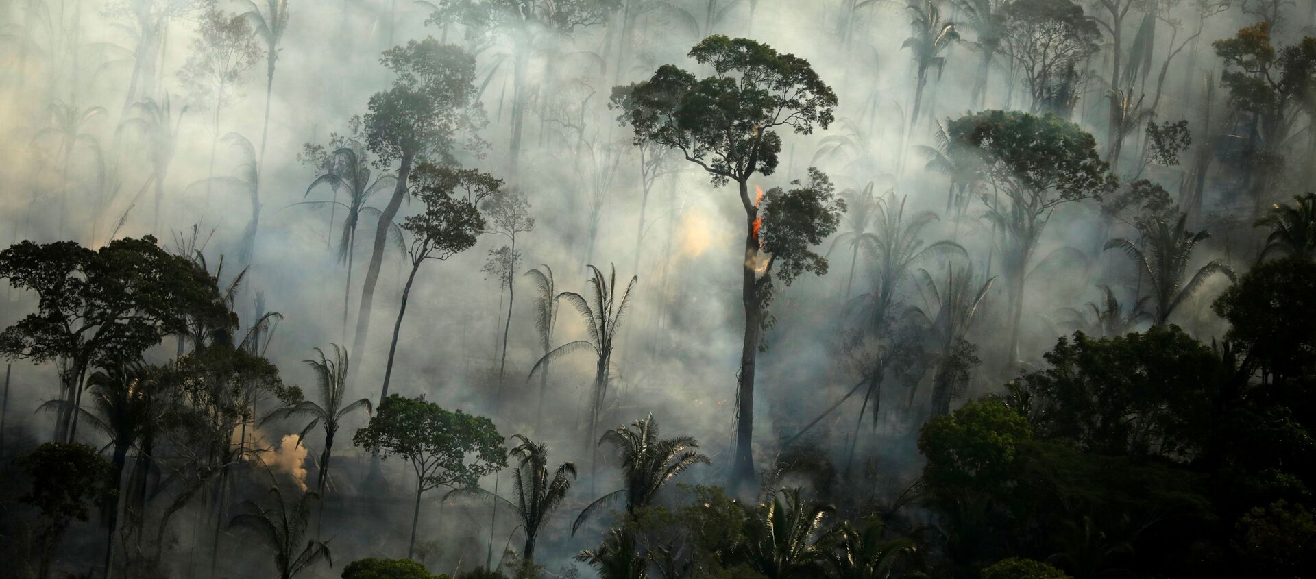 Khói bao trùm một khu rừng đang cháy trong một trận hỏa hoạn ở khu vực rừng nhiệt đới Amazon, Brazil. - Sputnik Việt Nam, 1920, 17.03.2021