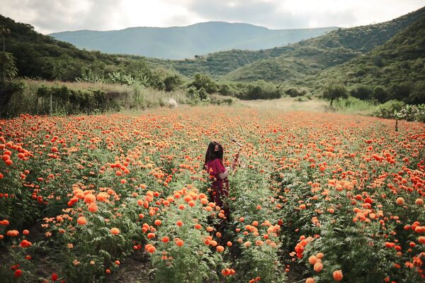 Tác phẩm của nhiếp ảnh gia Mexico Elipe Mahe Maria Elena, lọt danh sách rút gọn cuộc thi ảnh mang tên Andrei Stenin ở hạng mục Chân dung. Nhân vật thời đại chúng ta, ảnh đơn - Sputnik Việt Nam