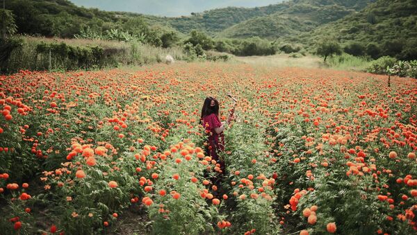 Bức ảnh Maria Elena của nhiếp ảnh gia người Mexico Elipe Mahe, lọt vào danh sách rút gọn cho Cuộc thi Báo ảnh quốc tế Stenin ở hạng mục Portrait (Chân dung). A Hero of Our Time - Sputnik Việt Nam