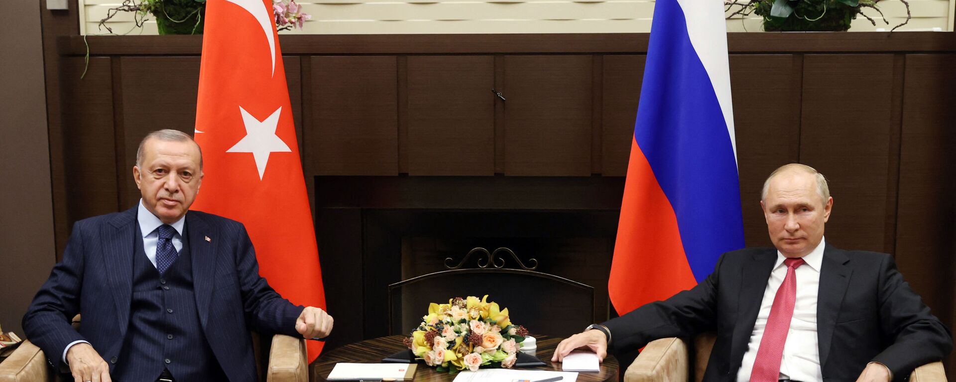Tổng thống Nga Vladimir Putin tại cuộc gặp người đồng cấp Thổ Nhĩ Kỳ Tayyip Erdogan ở Sochi - Sputnik Việt Nam, 1920, 29.09.2021