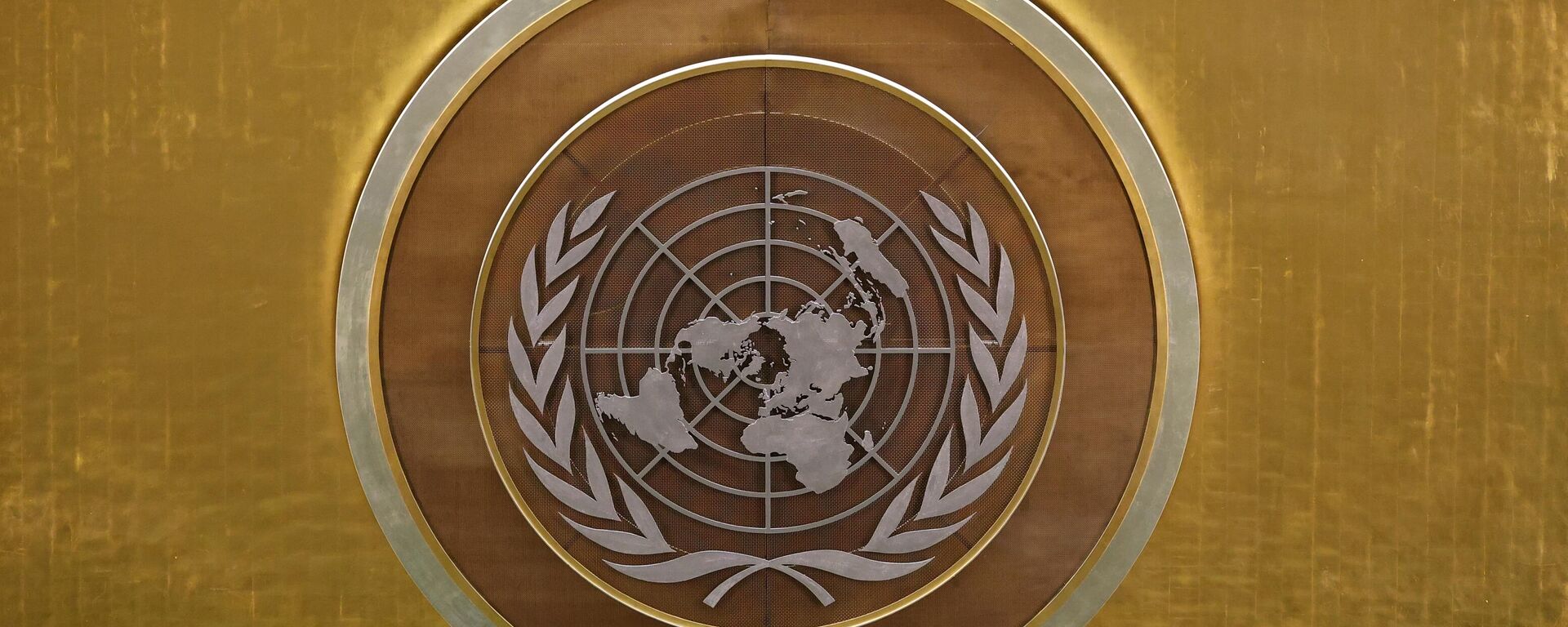 Biểu tượng của Liên hợp quốc (LHQ) tại Đại hội đồng Liên hợp quốc (LHQ) ở New York. - Sputnik Việt Nam, 1920, 03.11.2021