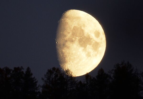 Mặt trăng trên rừng taiga ở vùng Tashtypskiy của Cộng hoà Khakassia. Nga. - Sputnik Việt Nam