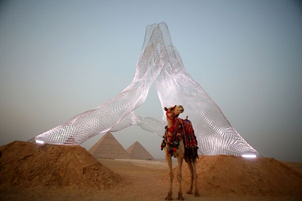 Con lạc đà trong tác phẩm sắp đặt của hoạ sĩ Ý Lorenzo Quinn tại triển lãm Forever Is Now gầ kim tự tháp Giza ở Ai Cập - Sputnik Việt Nam