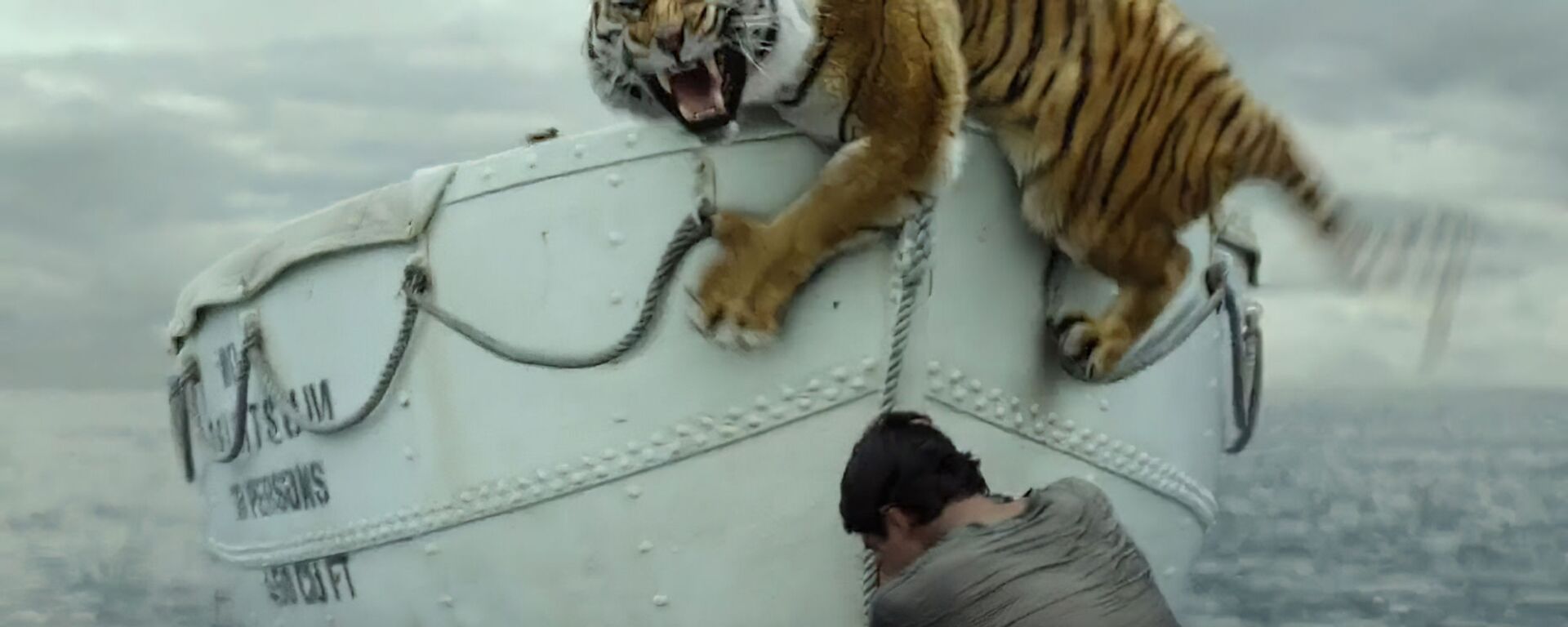 Cảnh trong phim Cuộc đời của Pi (Life of Pi) (2012). Đây là câu chuyện về cậu bé Pi - con trai ông chủ một vườn thú ở Ấn Độ. Do số phận trớ trêu, gia đình anh buộc phải di cư từ Ấn Độ đến Canada. Trong chuyến đi, tàu bị đắm, chỉ còn Pi trên thuyền cùng với con hổ Bengal, linh cẩu, ngựa vằn và đười ươi. - Sputnik Việt Nam, 1920, 31.12.2021