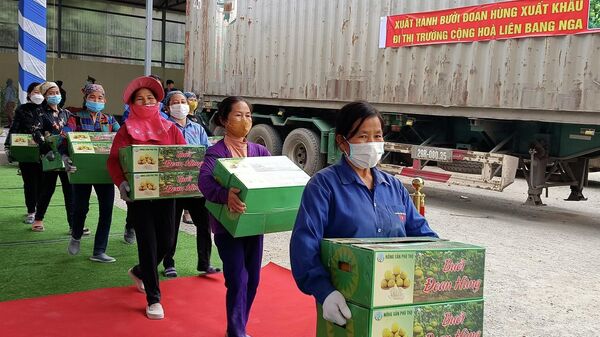 Phú Thọ xuất khẩu lô bưởi Đoan Hùng đầu tiên sang thị trường Nga - Sputnik Việt Nam