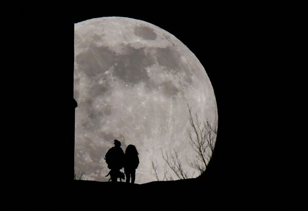 Dân chúng và con chó trong kỳ trăng tròn ở Vương quốc Anh - Sputnik Việt Nam