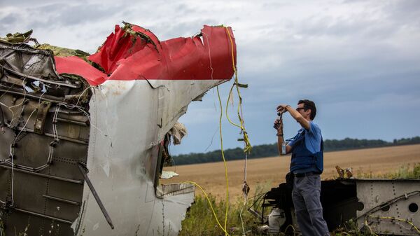 Các chuyên gia của phái bộ OSCE tại địa điểm rơi máy bay Boeing của Malaysia Airlines ở tỉnh Donetsk - Sputnik Việt Nam