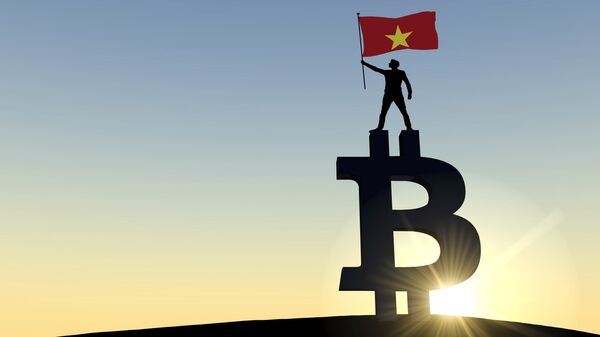 Người đàn ông vẫy cờ Việt Nam đứng trên đỉnh biểu tượng tiền điện tử bitcoin - Sputnik Việt Nam