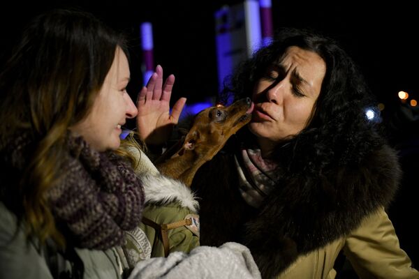 Chú chó liếm mặt người phụ nữ Ukraina ở Romania - Sputnik Việt Nam
