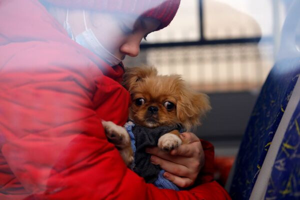 Trẻ em với con chó trên xe buýt chở những cư dân sơ tán của DNR và LNR đã đến Belgorod - Sputnik Việt Nam