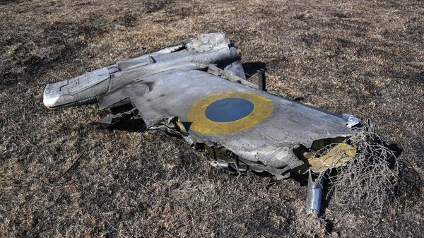 Máy bay cường kích Su-25 của Ukraina bị bắn rơi ở vùng Kherson - Sputnik Việt Nam