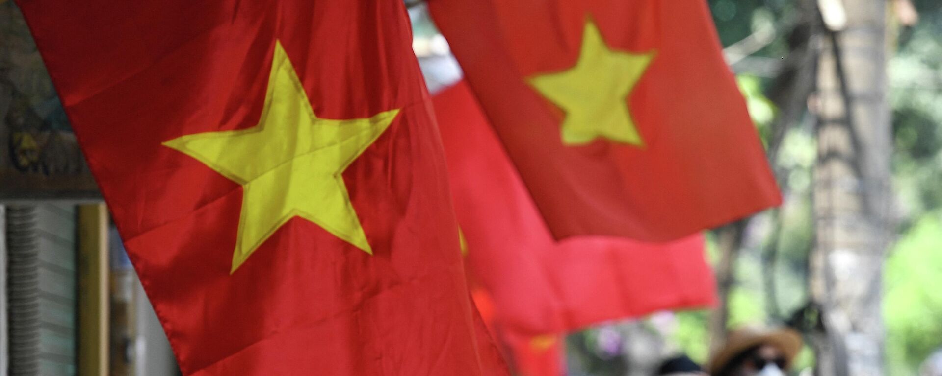 Quốc kỳ Việt Nam trên đường phố Hà Nội - Sputnik Việt Nam, 1920, 27.05.2022