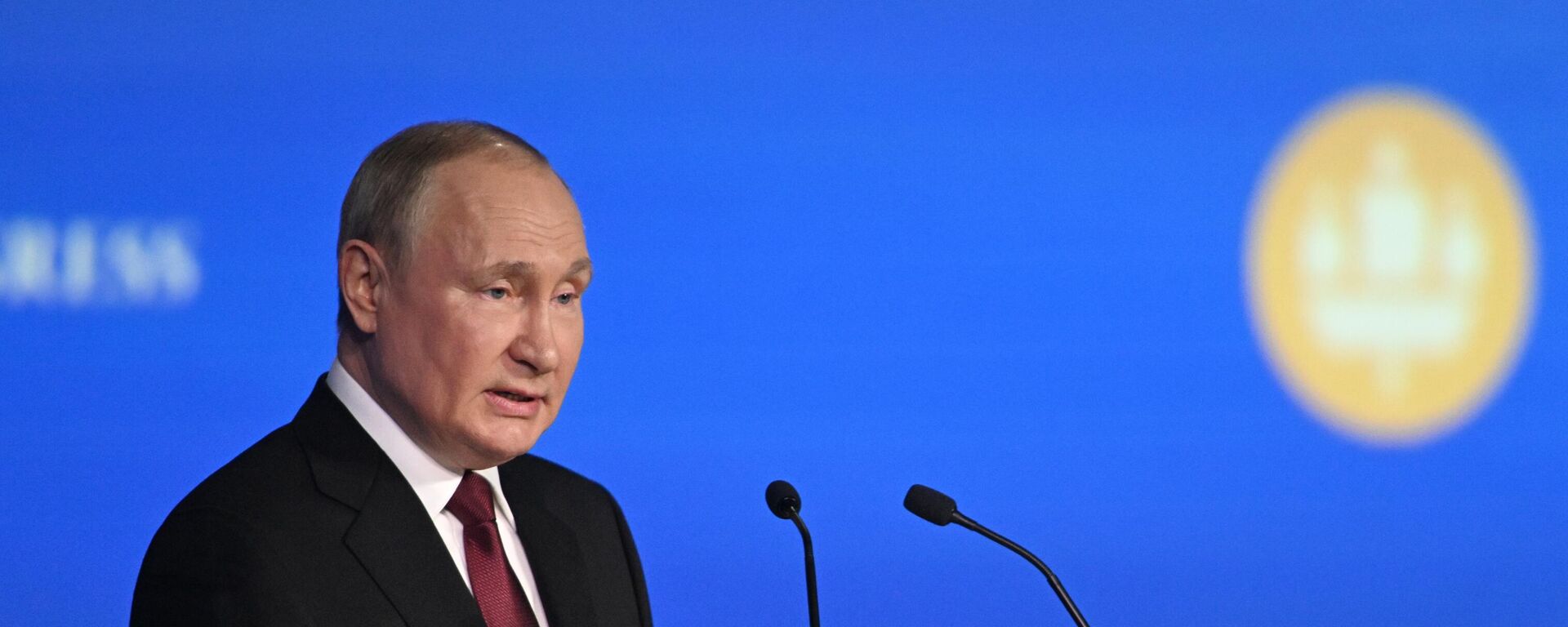 Tổng thống Nga Vladimir Putin tham dự SPIEF-2022 - Sputnik Việt Nam, 1920, 17.06.2022
