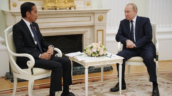 Tổng thống Nga Vladimir Putin gặp Tổng thống Indonesia J. Widodo - Sputnik Việt Nam