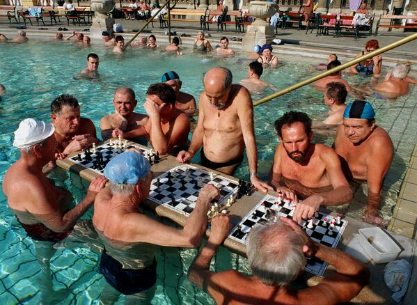 Người chơi cờ trong bể bơi ở Budapest. - Sputnik Việt Nam