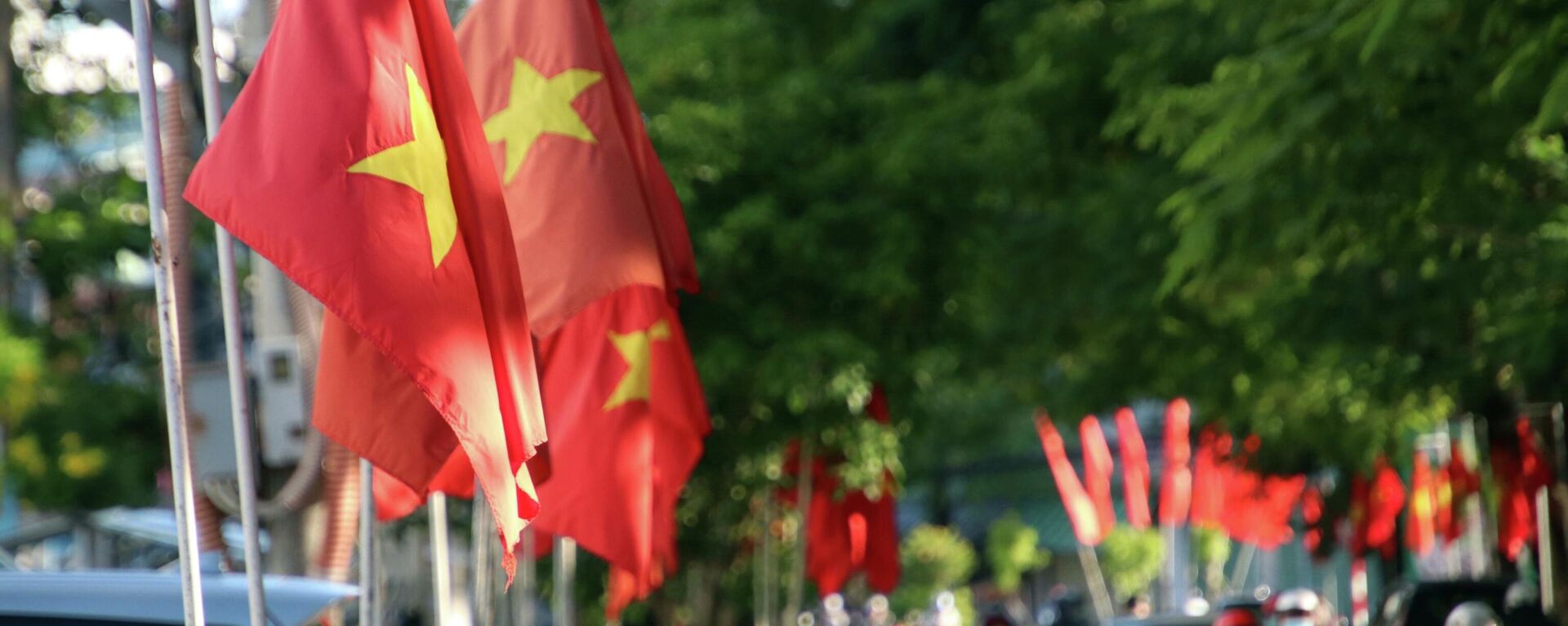 Cà Mau: Rợp bóng cờ hoa, biểu ngữ trên đường phố chào mừng kỷ niệm 77 năm Ngày Quốc khánh 2/9 - Sputnik Việt Nam, 1920, 02.09.2022