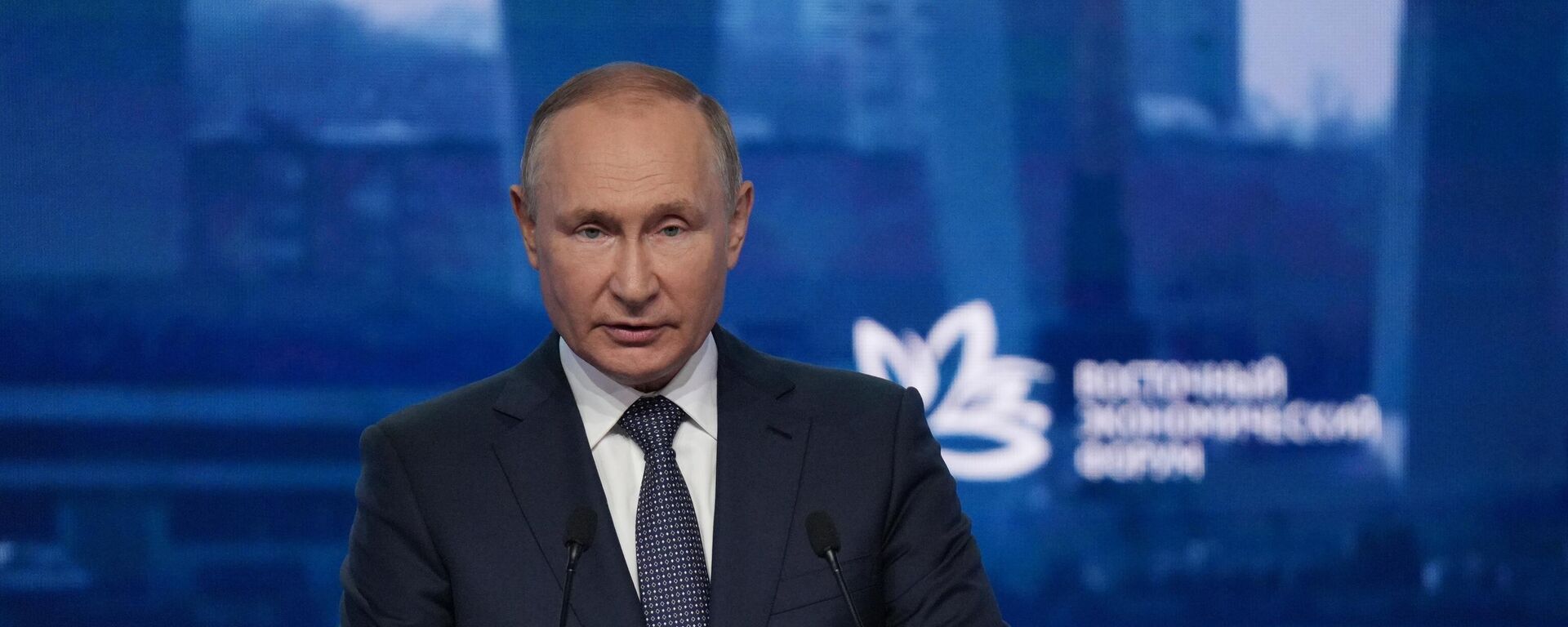 Tổng thống Nga Vladimir Putin tham dự Diễn đàn Kinh tế Phương Đông lần thứ 7 - Sputnik Việt Nam, 1920, 07.09.2022