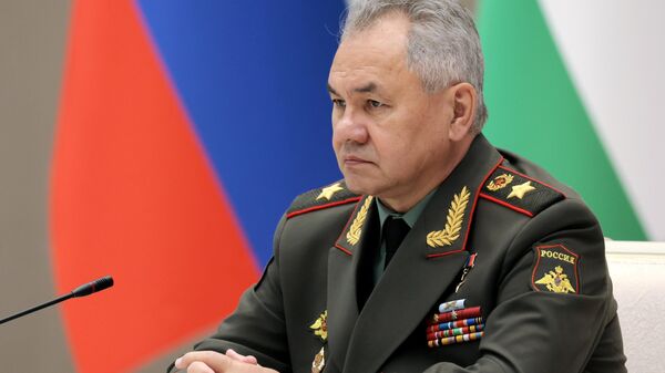 Bộ trưởng Bộ Quốc phòng Liên bang Nga S. Shoigu - Sputnik Việt Nam