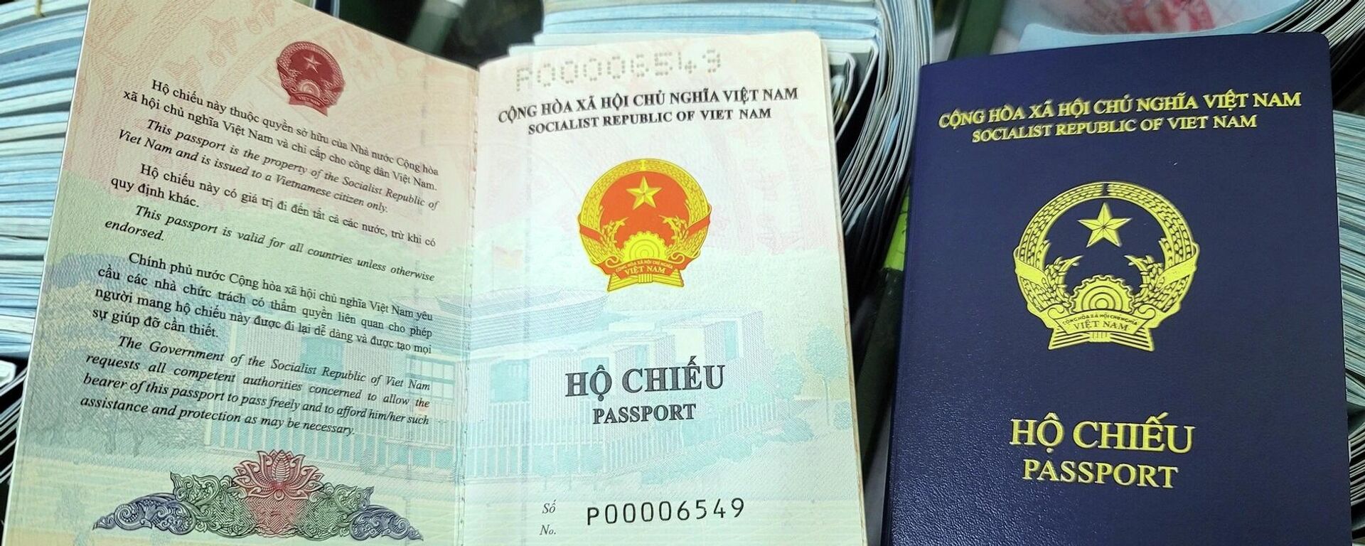 Hộ chiếu mẫu mới màu xanh tím than của Việt Nam - Sputnik Việt Nam, 1920, 27.02.2023