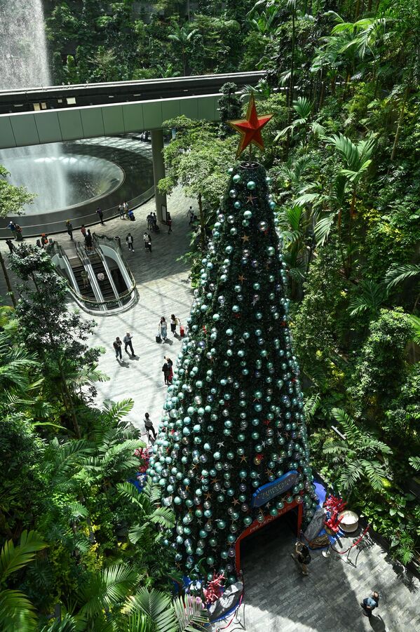 Mọi người đi bộ cạnh cây thông Noel được trưng bày trong khung cảnh “rừng rậm” tại Sân bay Jewel Changi của Singapore. - Sputnik Việt Nam