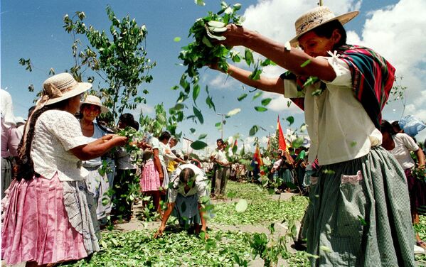 Nông dân biểu tình bằng cách ném hàng nghìn lá coca trên đường Chimore, Bolivia. - Sputnik Việt Nam