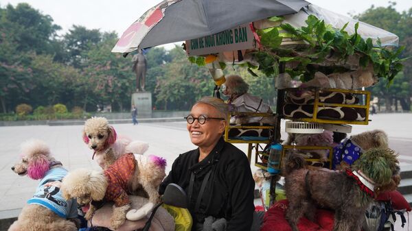 Bà Nguyễn Thị Kim Quý và đàn thú cưng trên chiếc xe 3 bánh độc đáo trong cuộc dạo chơi buổi sáng  - Sputnik Việt Nam