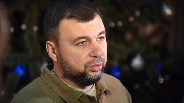  Denis Pushilin, quyền người đứng đầu CHND Donetsk  - Sputnik Việt Nam