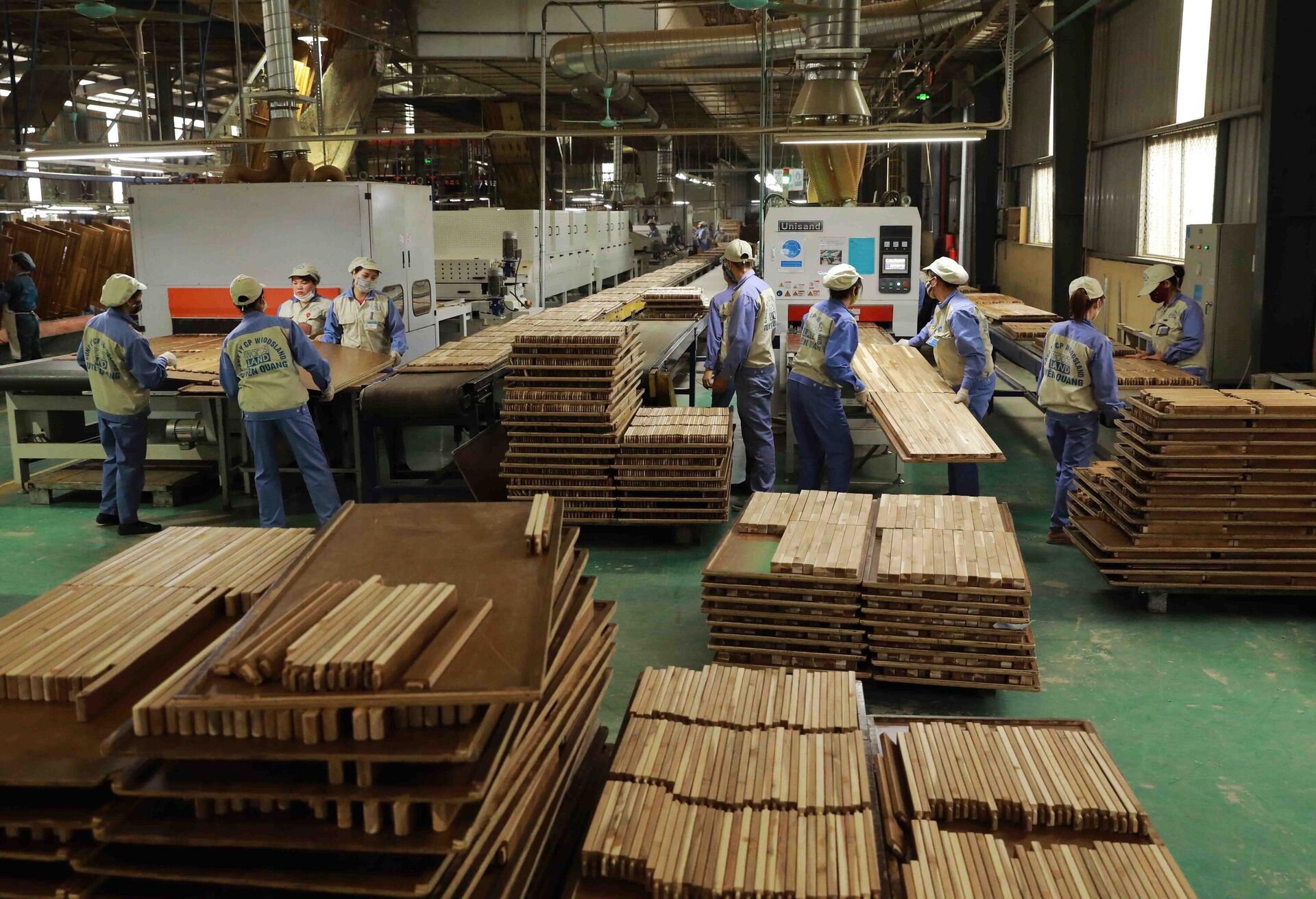 Nhà máy chế biến gỗ của Công ty CP Woodsland Tuyên Quang có công suất thiết kế 150.000 m3/năm. - Sputnik Việt Nam, 1920, 18.04.2023