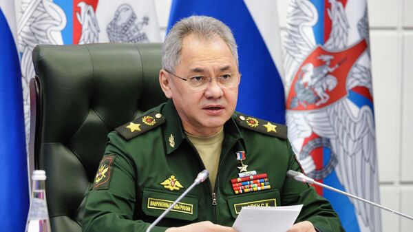 Bộ trưởng Quốc phòng Nga Sergei Shoigu - Sputnik Việt Nam