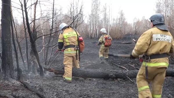 Các nhân viên của Bộ tình trạng khẩn cấp Nga hoàn thành công việc dập tắt cháy rừng - Sputnik Việt Nam