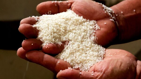 Trong ảnh: Gạo tấm, nguyên liệu để nấu cơm tấm, nhỏ hơn hạt gạo bình thường. - Sputnik Việt Nam
