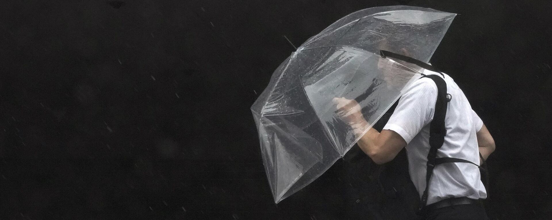 Một người qua đường trong cơn mưa lớn ở Tokyo - Sputnik Việt Nam, 1920, 16.04.2024