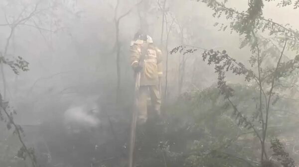 Kazakhstan: Tiếp tục công việc chữa cháy rừng ở vùng Abay - Sputnik Việt Nam
