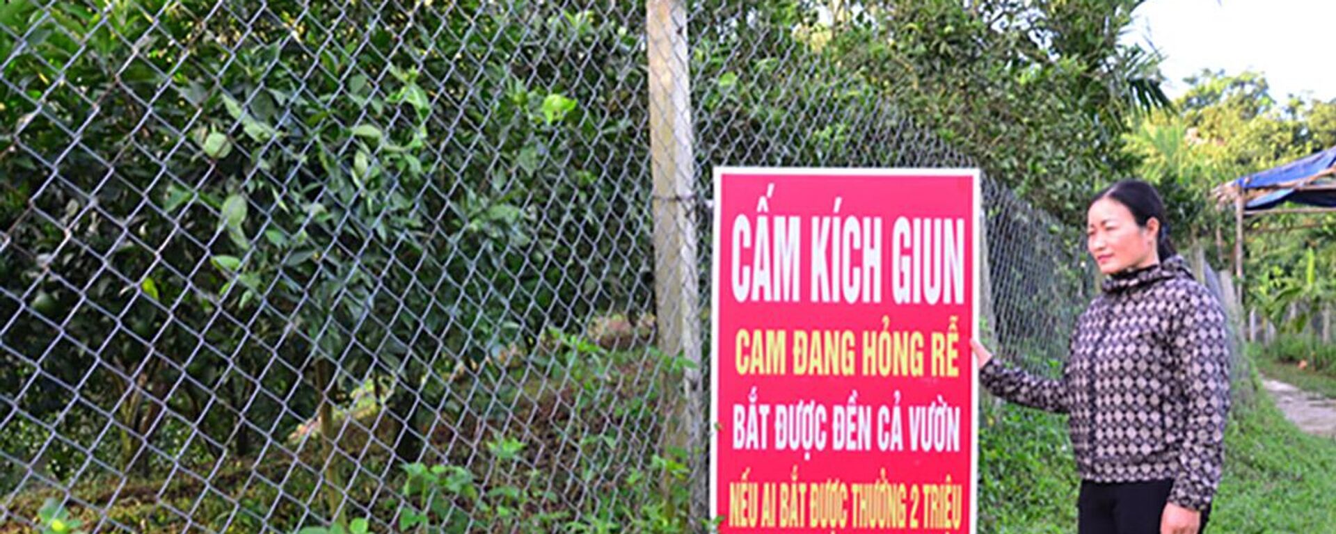 Một chủ vườn ở xã Thu Phong đã phải cắm biển cấm kích giun - Sputnik Việt Nam, 1920, 09.08.2023