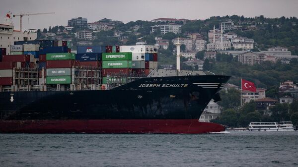 Con tàu Joseph Schulte, trên đường từ Odessa, đi qua eo biển Bosphorus ở Istanbul, Thổ Nhĩ Kỳ - Sputnik Việt Nam