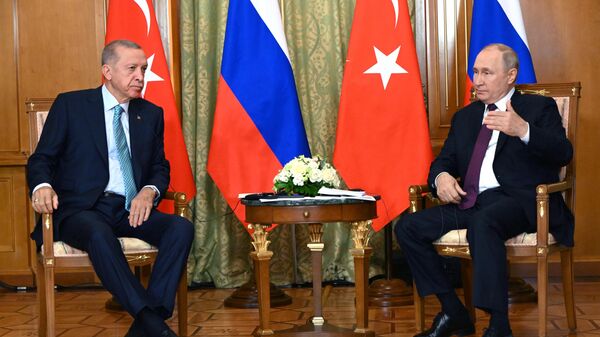 Cuộc đàm phán giữa hai Tổng thống Nga và Thổ Nhĩ Kỳ Vladimir Putin và Tayyip Erdogan ở Sochi  - Sputnik Việt Nam