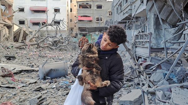 Cậu bé Palestine giải cứu con mèo khỏi đống đổ nát ở Beit Lahiya, phía bắc Dải Gaza sau vụ đánh bom của Israel. - Sputnik Việt Nam