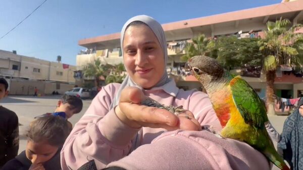 Một người bạn yêu quý. Cô gái giải cứu con vẹt của mình dưới làn mưa bom bão đạn đang diễn ra ở Gaza - Sputnik Việt Nam