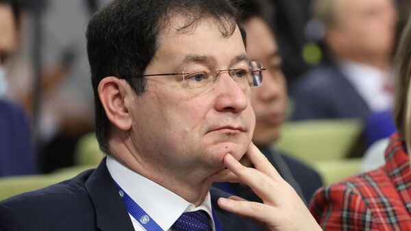 Phó đại diện thường trực thứ nhất của Nga tại Liên hợp quốc, ông Dmitry Polyansky - Sputnik Việt Nam