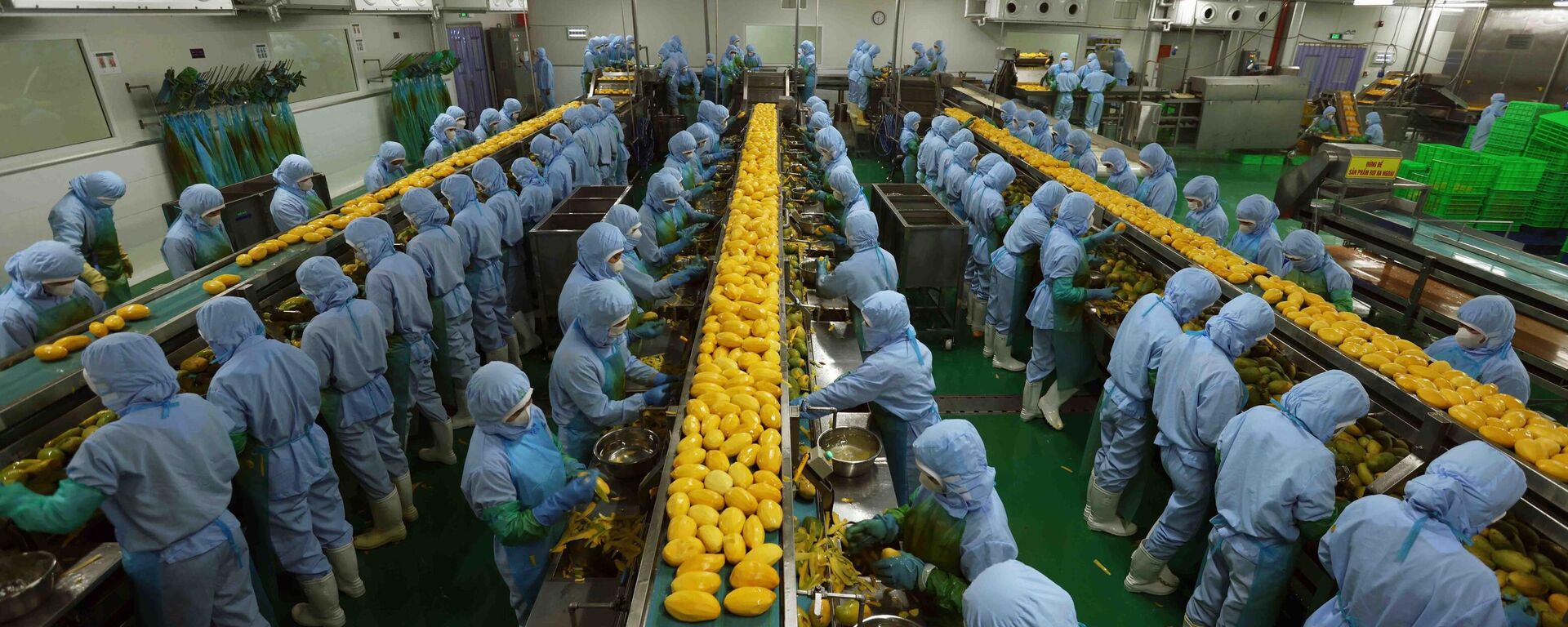 Công ty B'LaoFood (thành phố Bảo Lộc, tỉnh Lâm Đồng) là doanh nghiệp chế biến nông sản xuất khẩu lớn hiện nay, tạo việc làm cho hơn 200 lao động với thu nhập 10 triệu đồng/người/tháng.

 - Sputnik Việt Nam, 1920, 24.04.2024