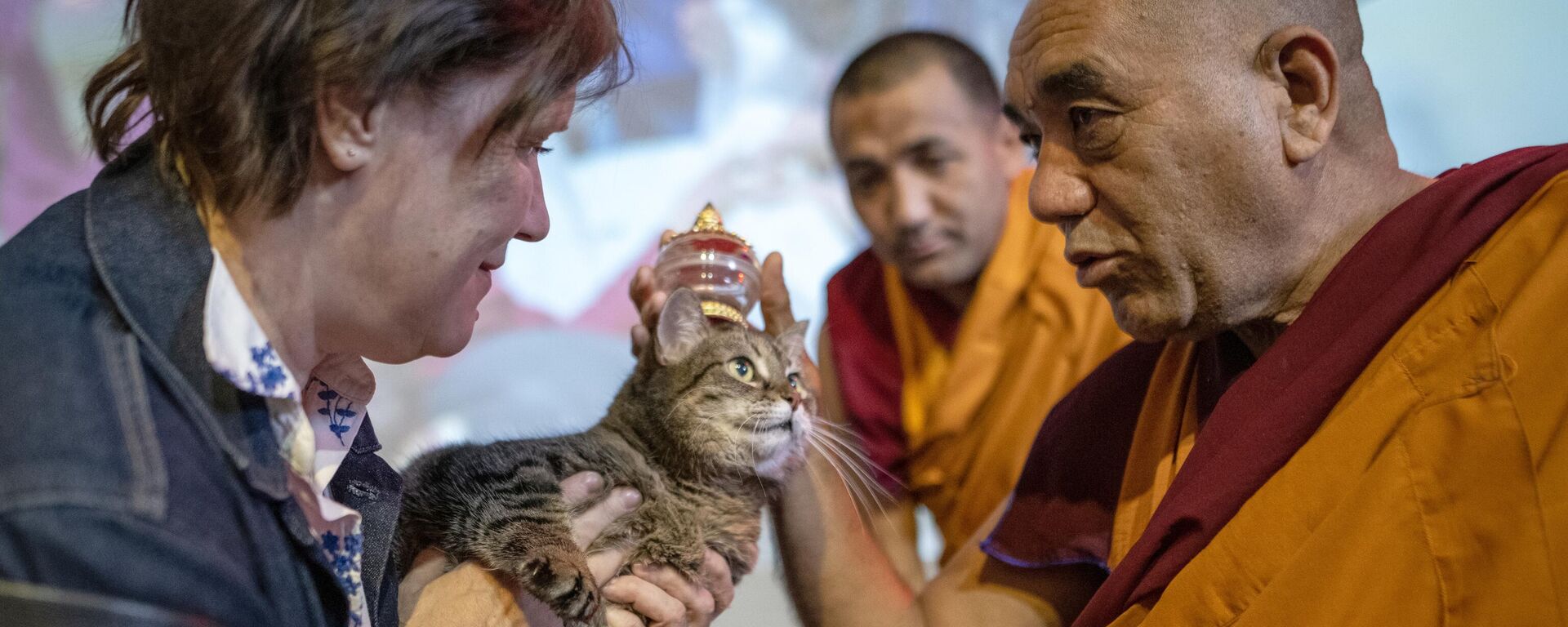 Trưởng đoàn sư Himalaya Geshe Tsewang Dorje ban phước lành cho chú mèo trong buổi lễ ban phúc cho động vật trong khuôn khổ  Lễ hội cầu may mắn của Phật giáo ở  Moskva - Sputnik Việt Nam, 1920, 15.04.2024