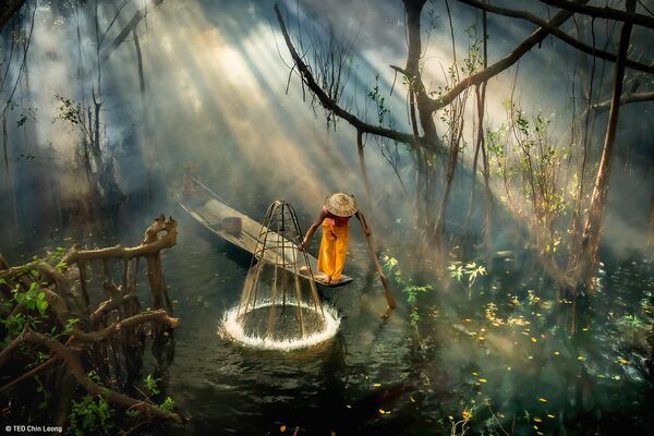 Mangrove Fisherman của Teo Chin Leong, người chiến thắng hạng mục T Food in the Field, cuộc thi Pink Lady® Food Photographer of the Year 2024 - Sputnik Việt Nam