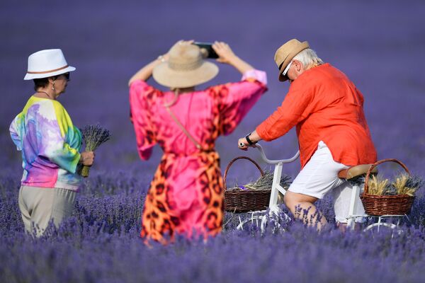 Du khách chụp ảnh trên cánh đồng hoa oải hương ở vùng Bakhchisarai trong Crưm - Sputnik Việt Nam