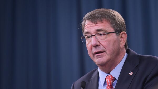 Bộ trưởng Quốc phòng Mỹ Ashton Carter - Sputnik Việt Nam