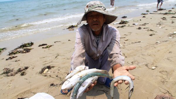 Hiện tượng cá chết hàng loạt ở vùng ven bờ biển miền Trung Việt Nam - Sputnik Việt Nam